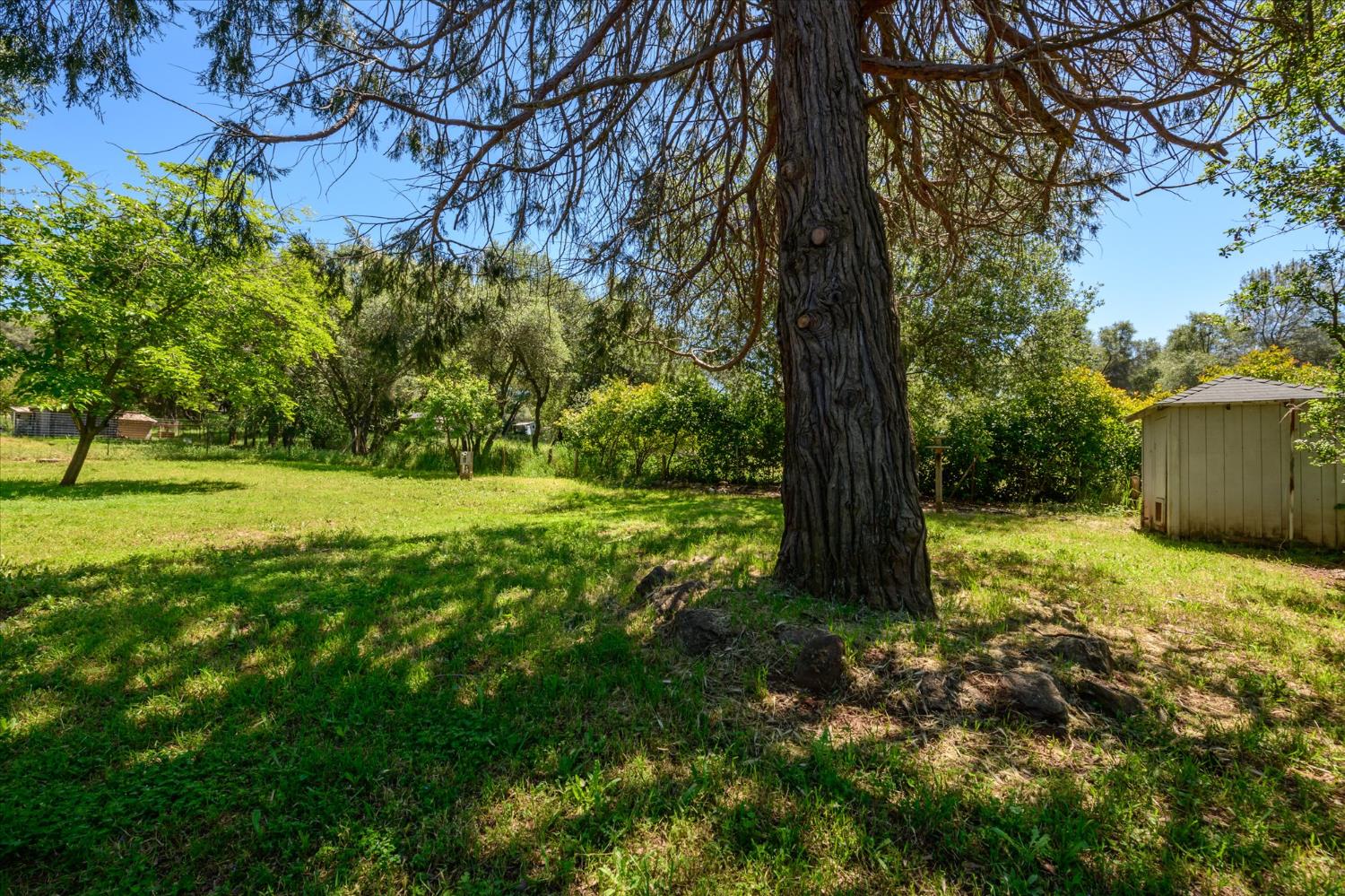 4104 Haven Lane