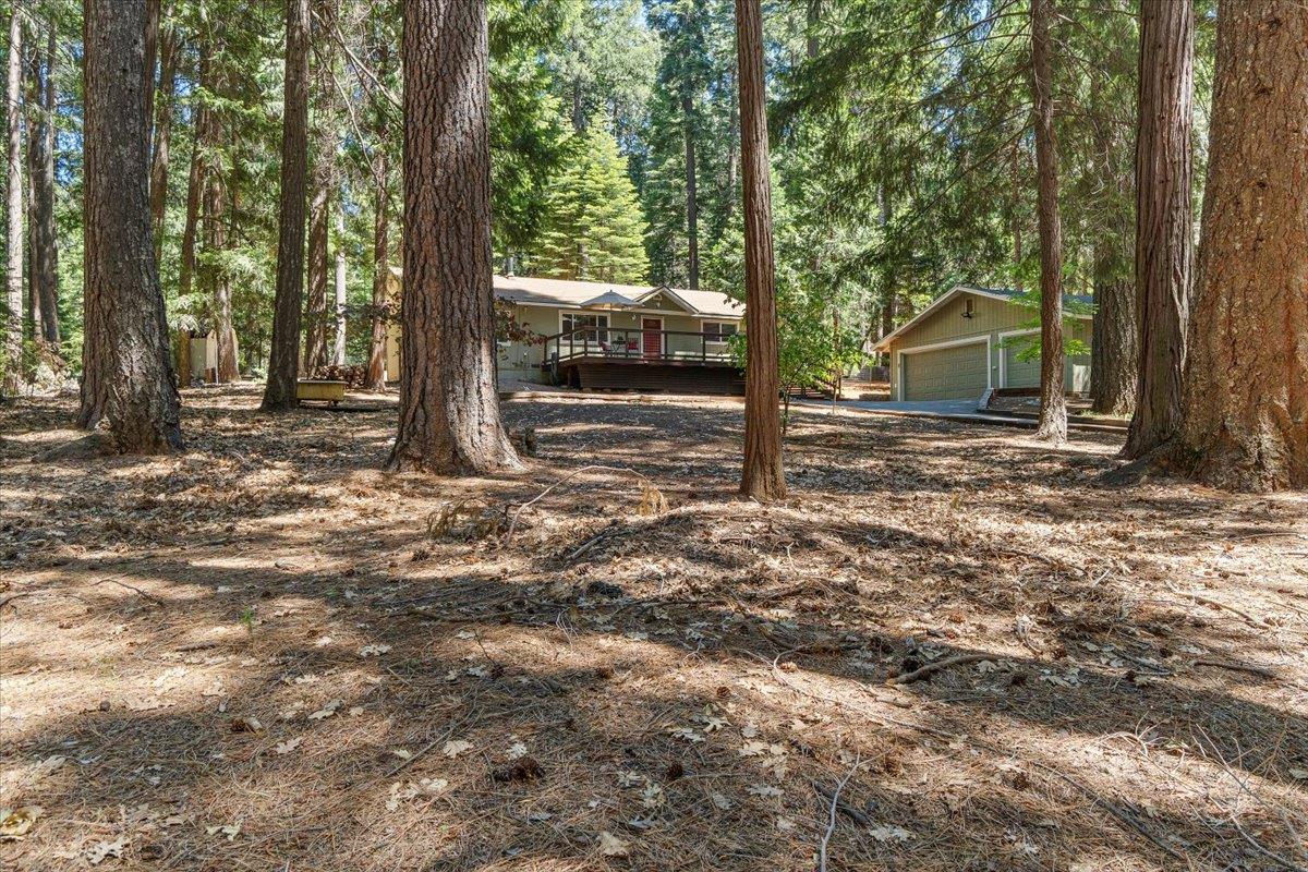2210 Pinewood Lane