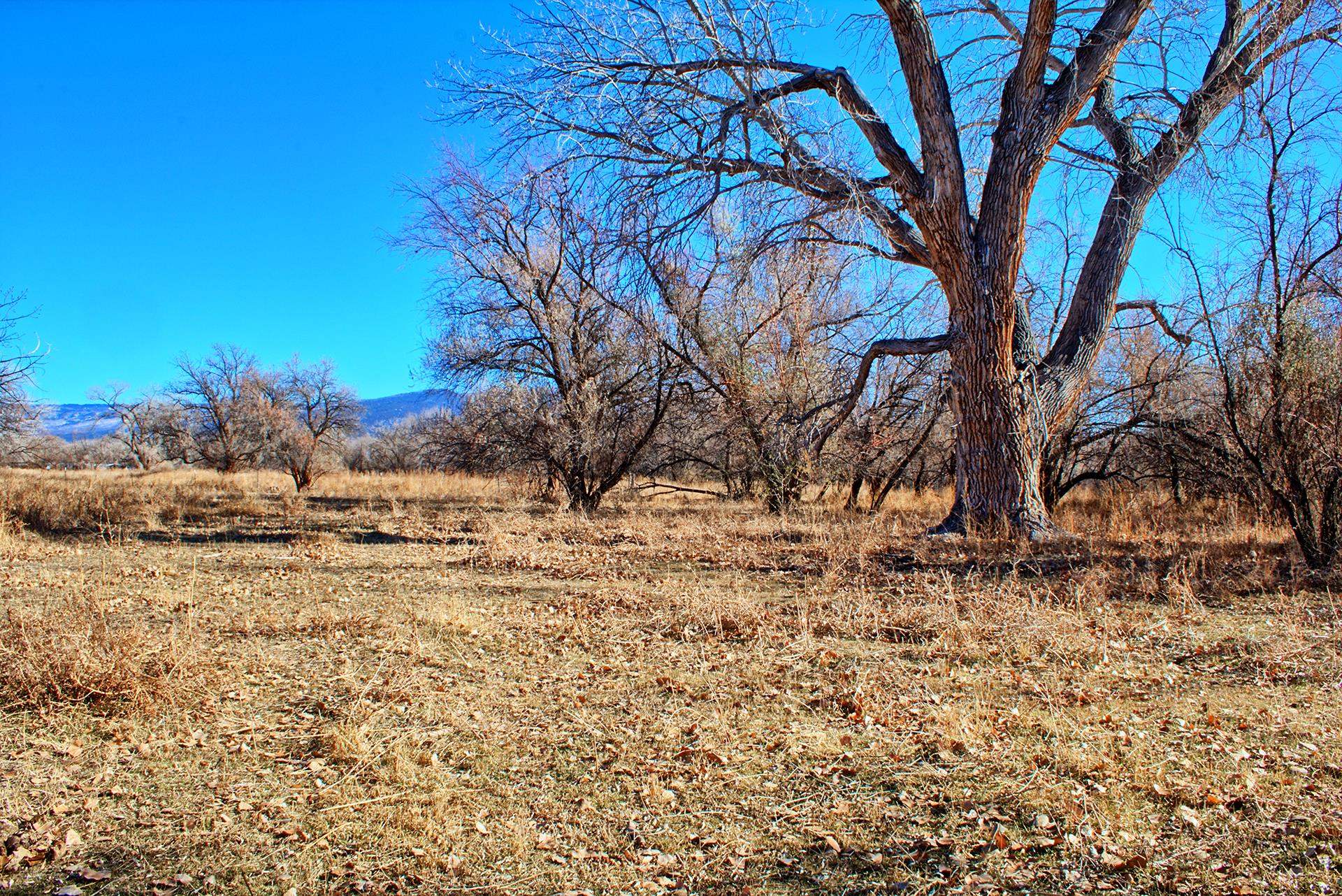 1668 Purdy Mesa Road