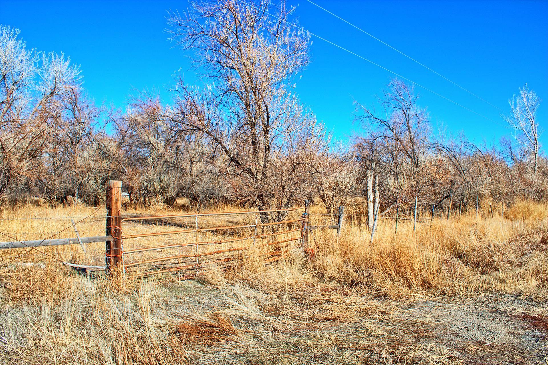 1668 Purdy Mesa Road