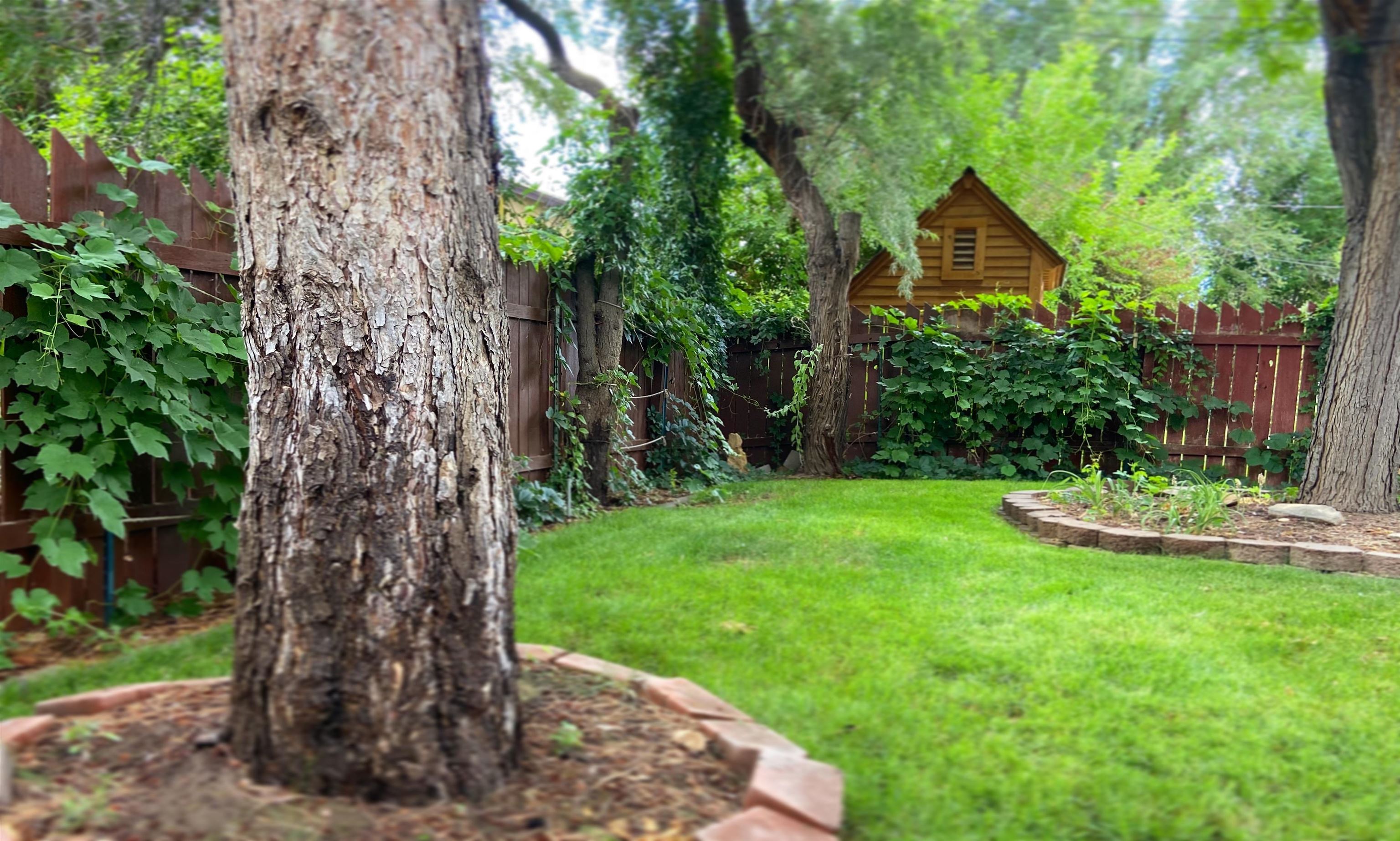 525 Lilac Lane