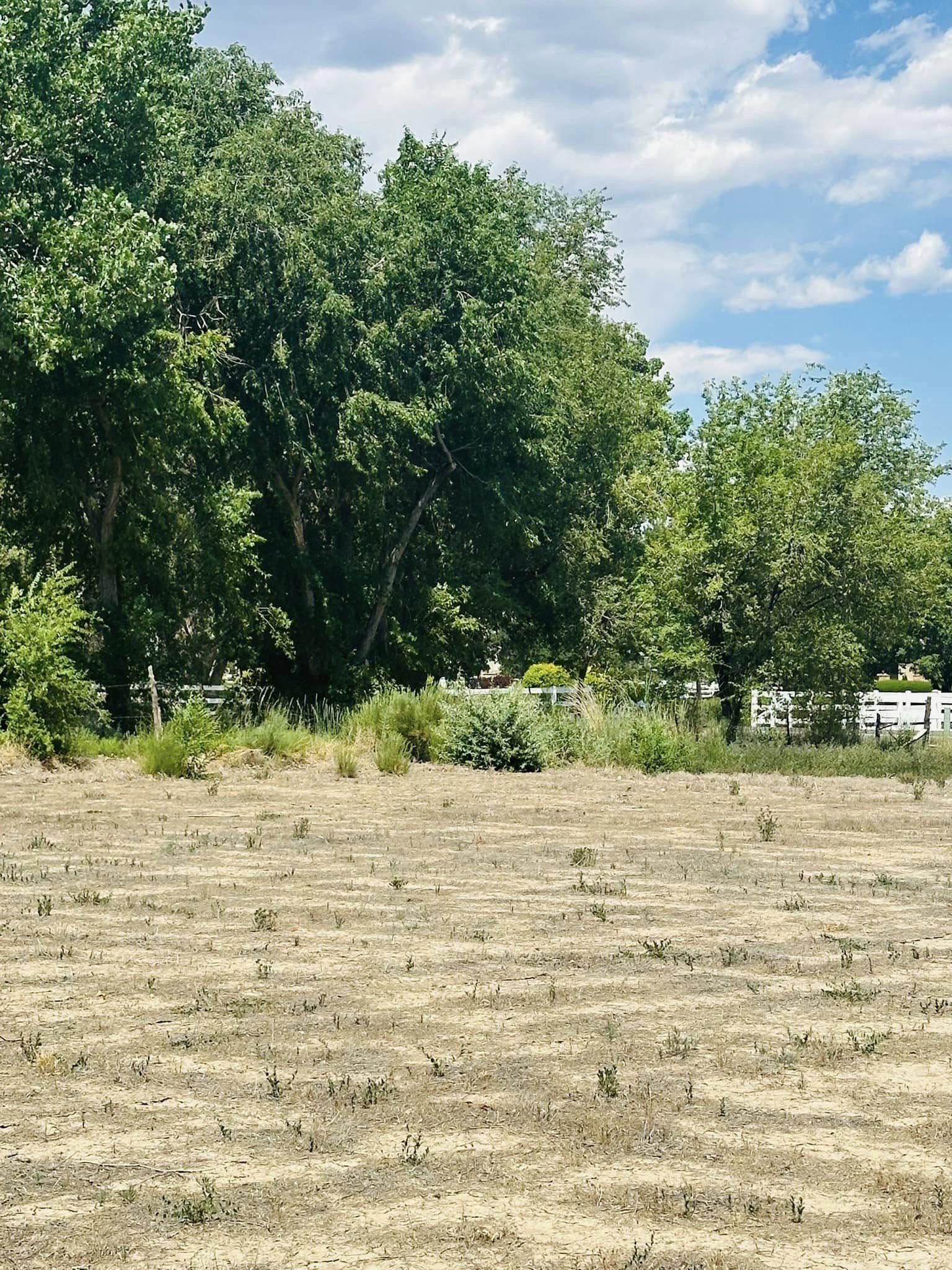 2594 H 3/4 Road