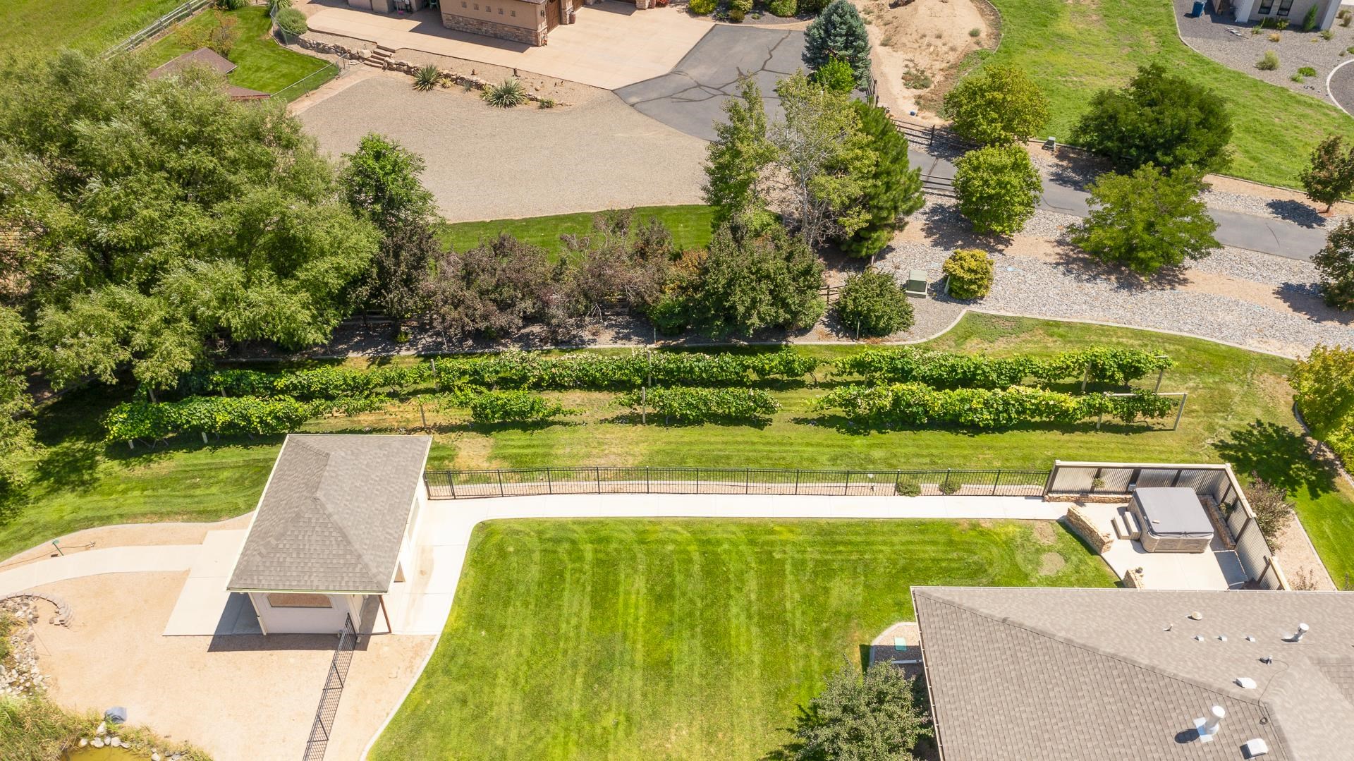 1007 Dougherty Court