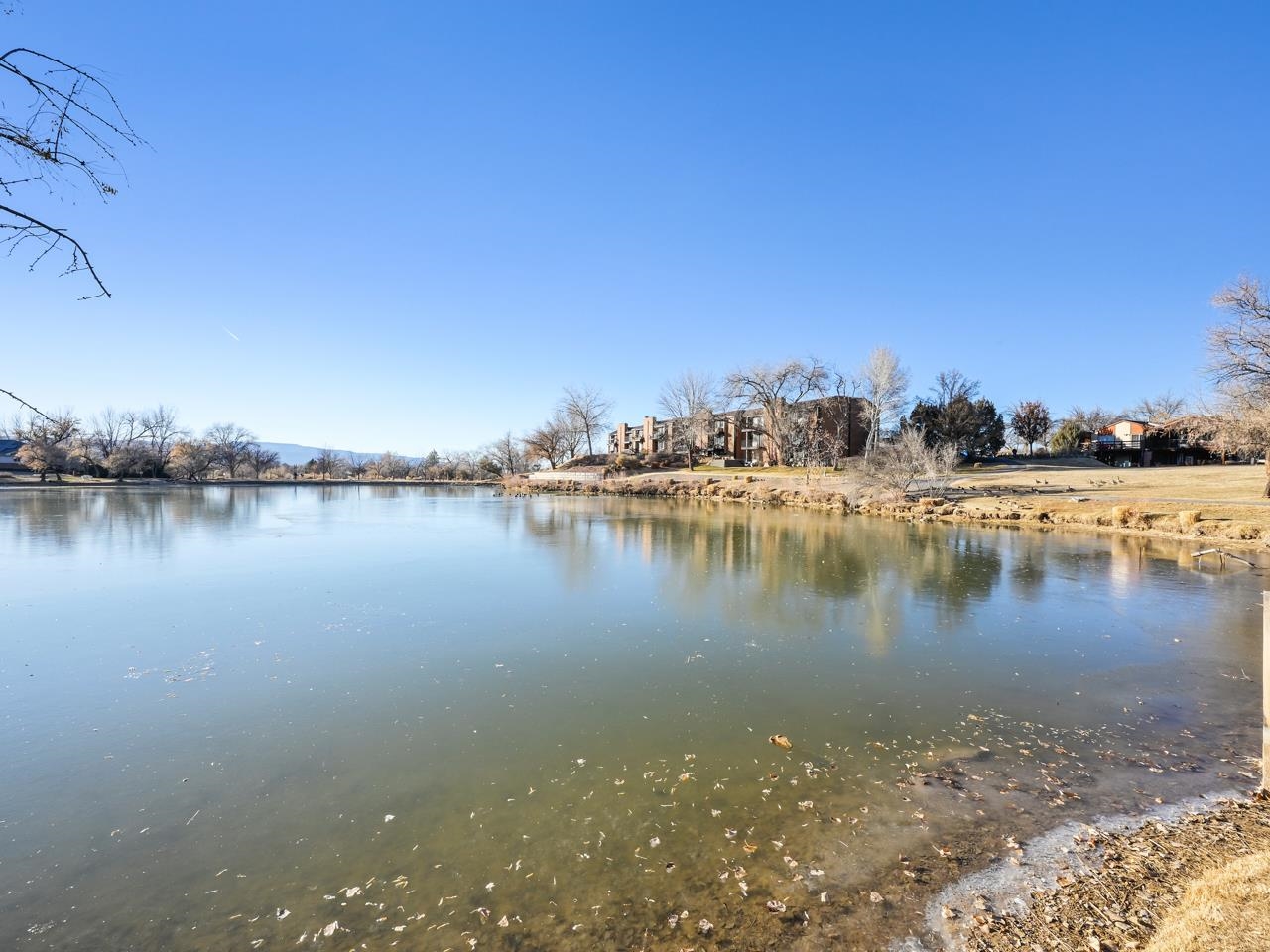3156 Lakeside Drive Unit: 207