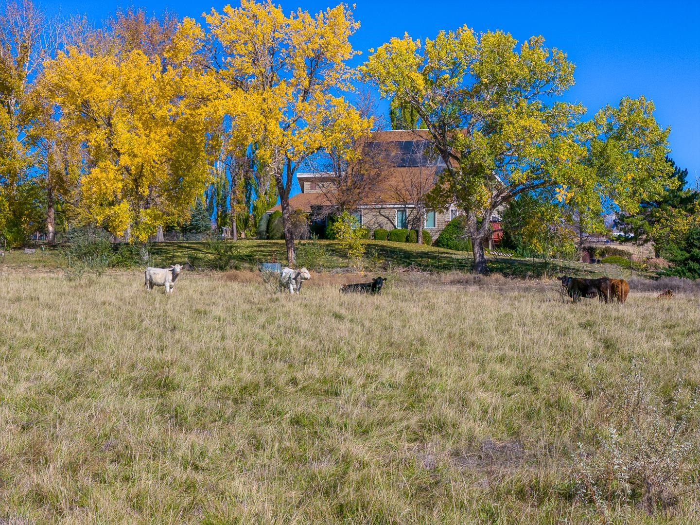 1132 Sundial Road