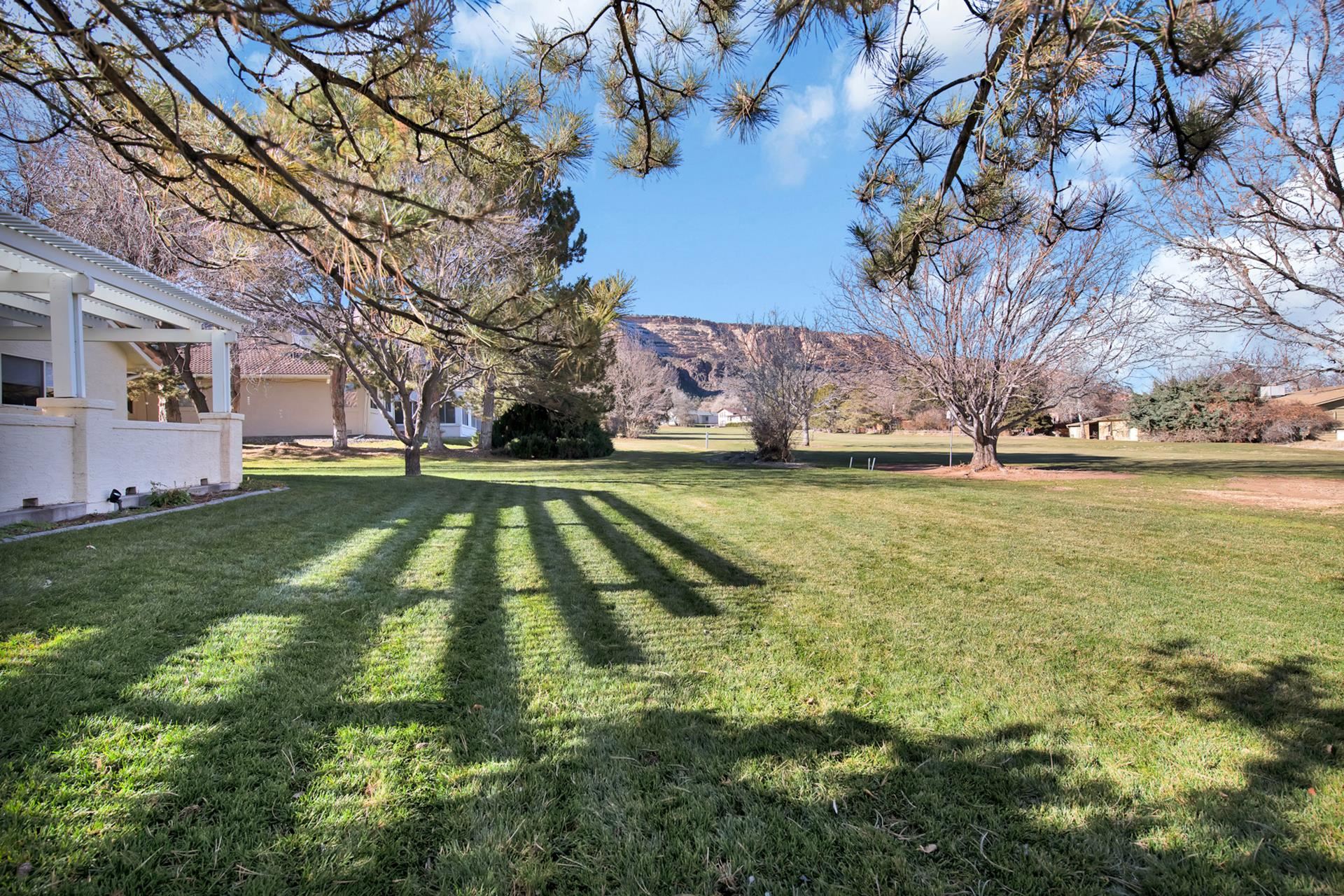 517 Liberty Cap Court