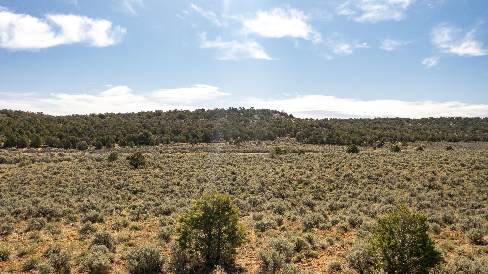 TBD S Trail Canyon Drive