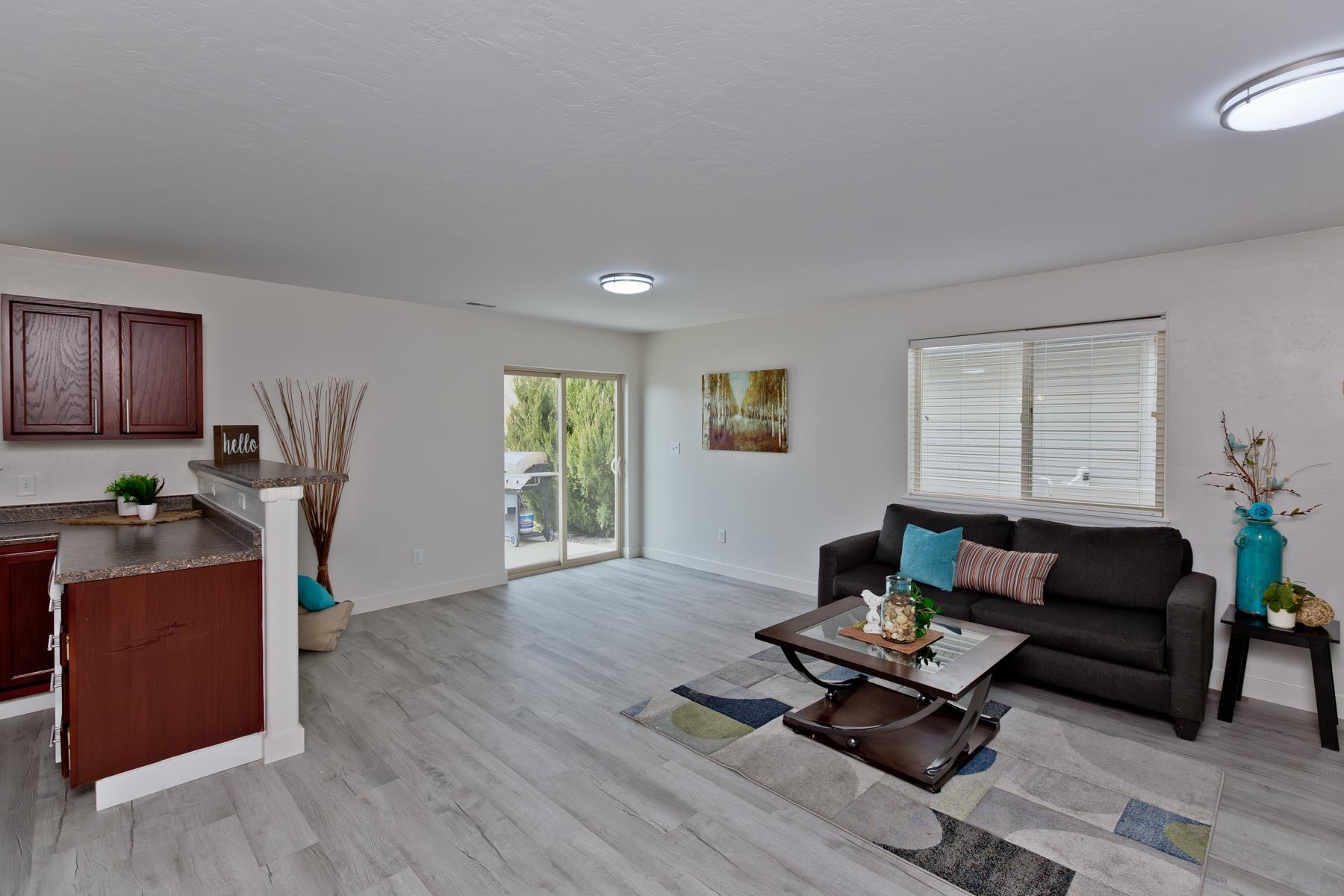 667 Alexia Court