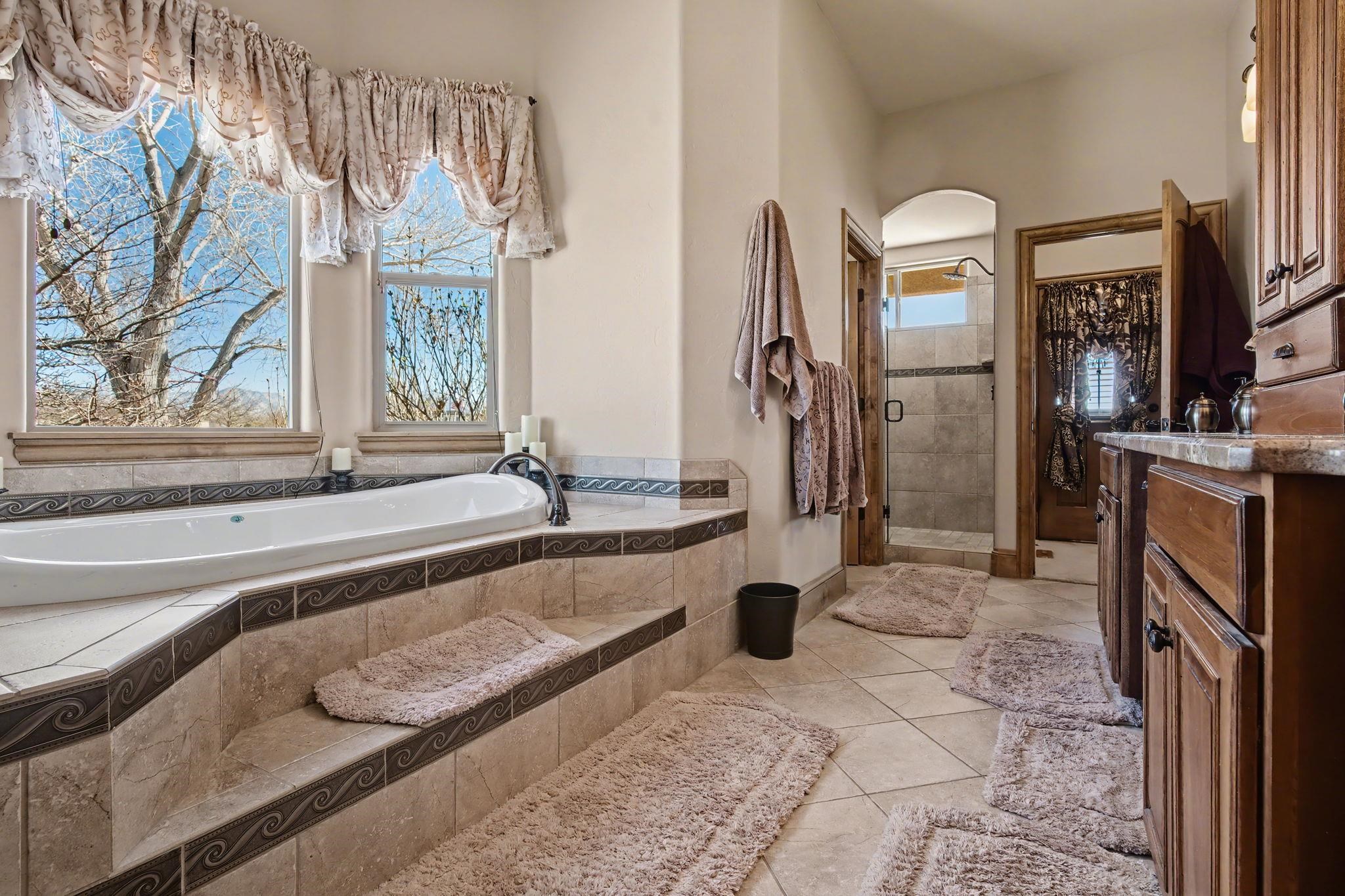 1013 Pritchard Mesa Court