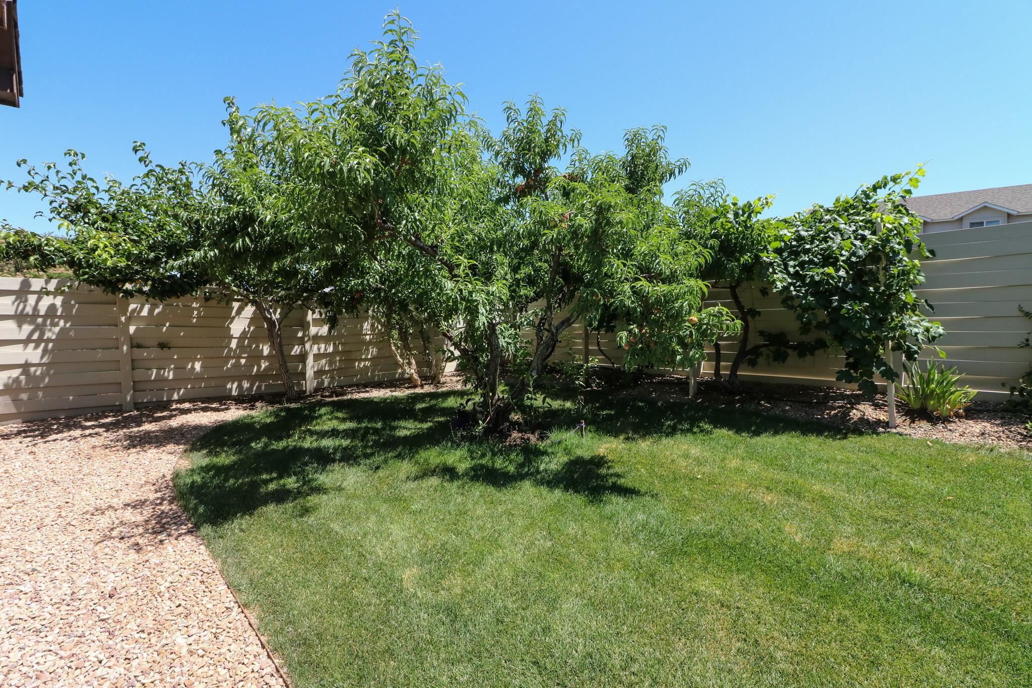 2983 Wichita Court