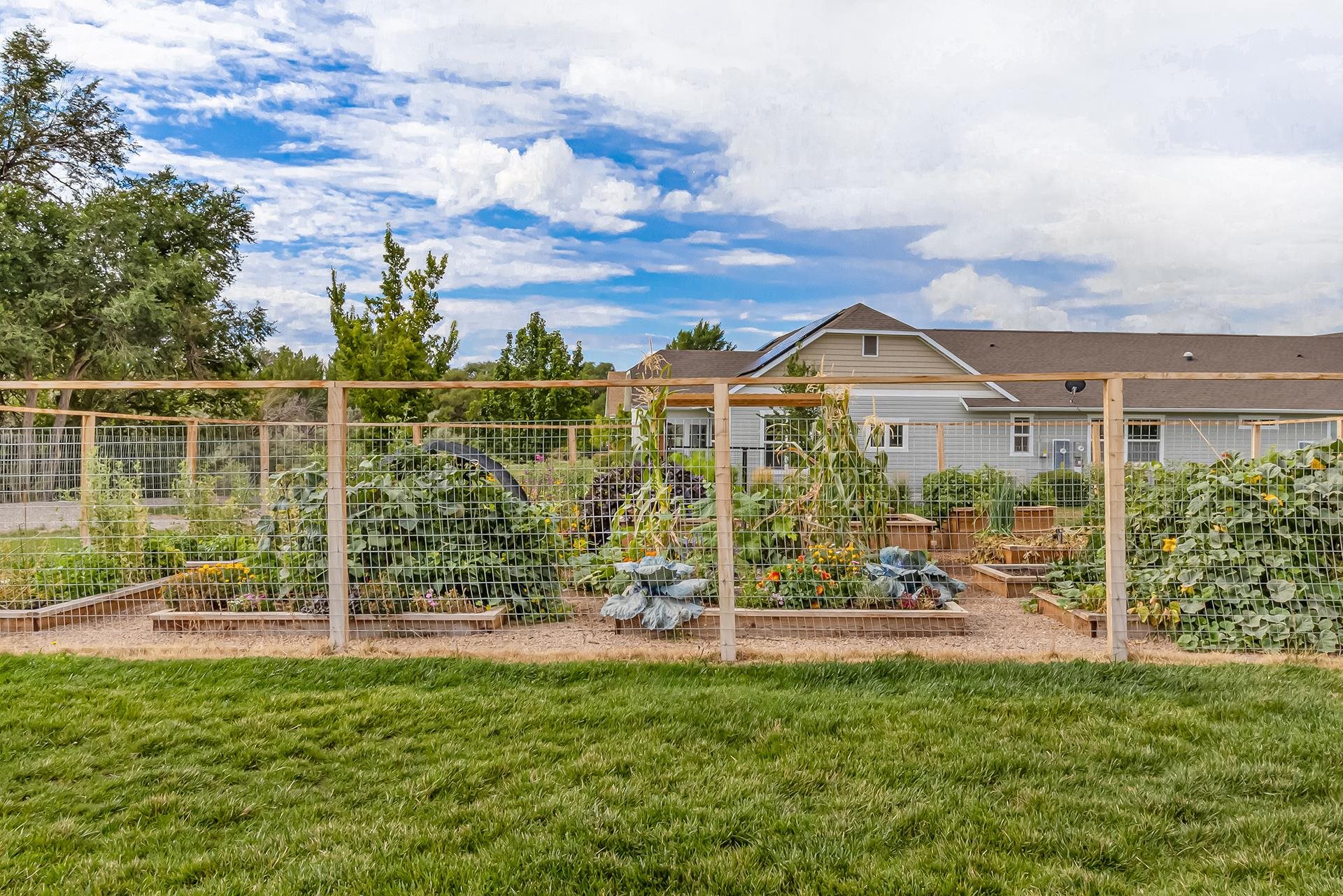 1233 Periwinkle Court