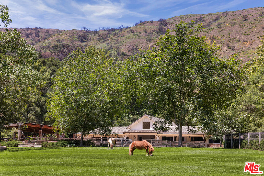 3099 Mandeville Canyon Rd