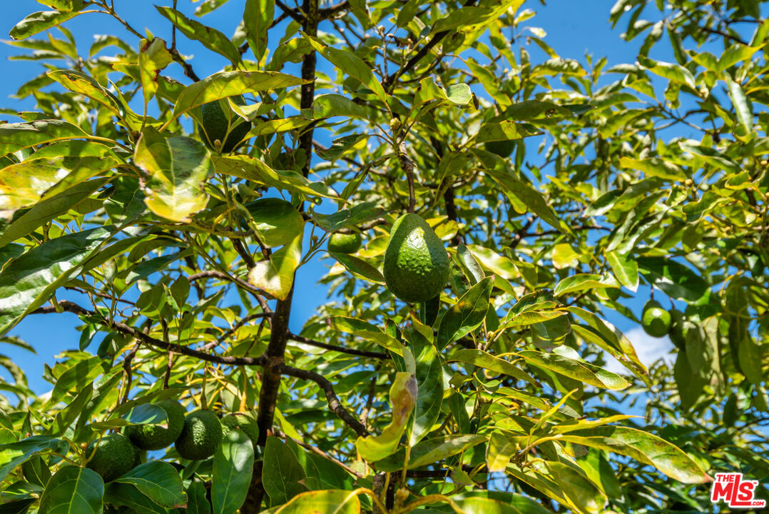 8018 Balcom Canyon Rd