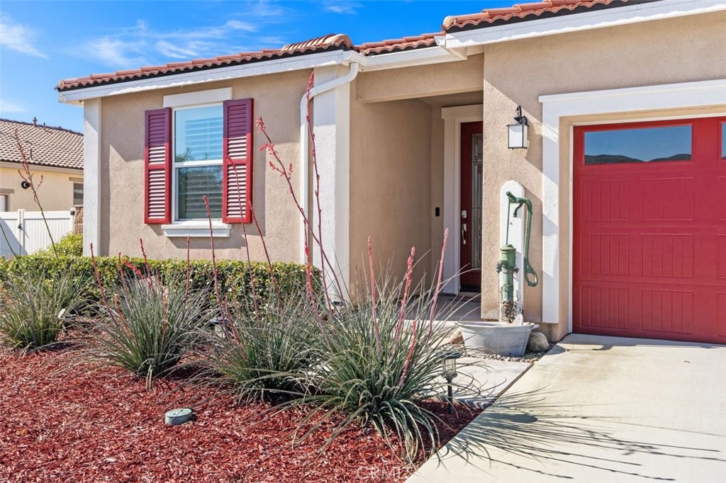 28982 Cattleman Circle