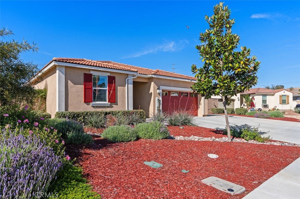 28982 Cattleman Circle