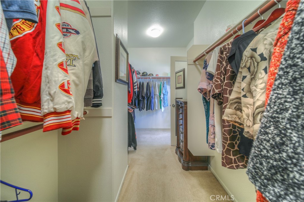 30917 Young Dove Street
