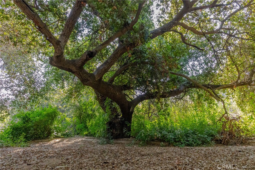 26655 Glen Eden Road