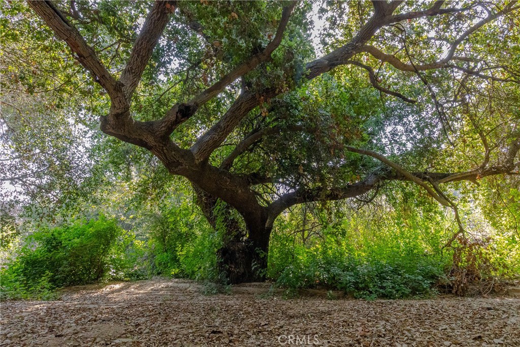 26655 Glen Eden Road