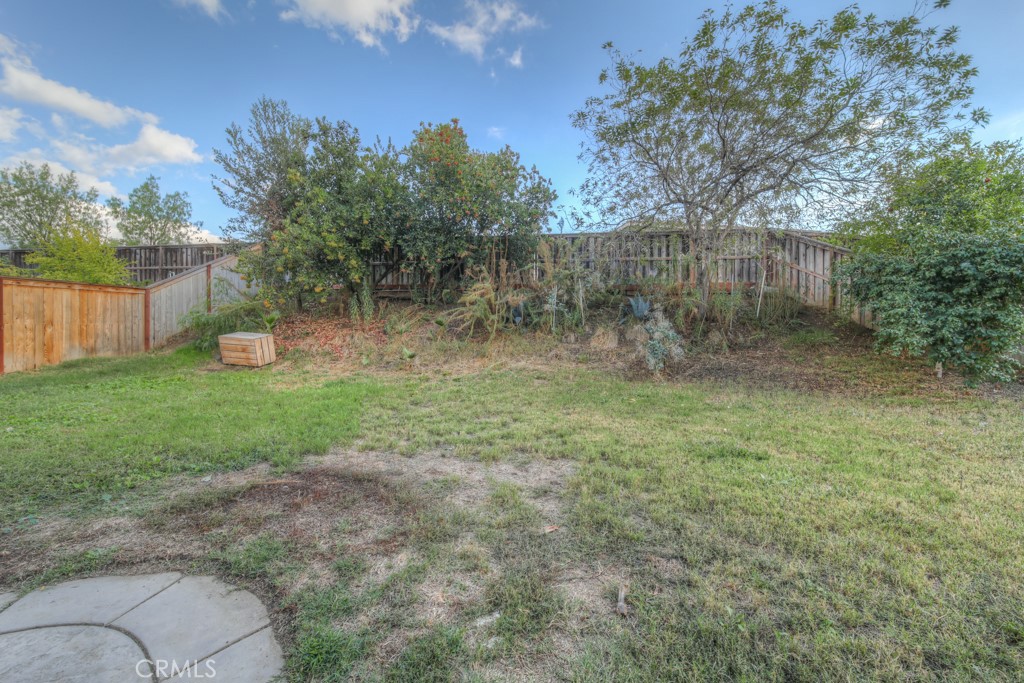 28688 Lavatera Avenue