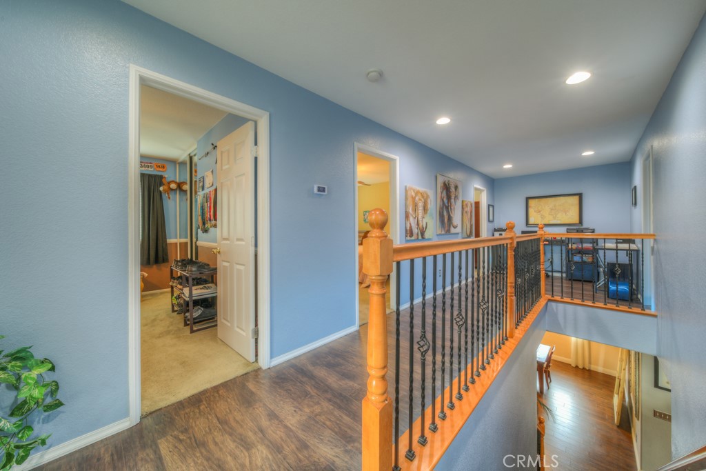 28688 Lavatera Avenue