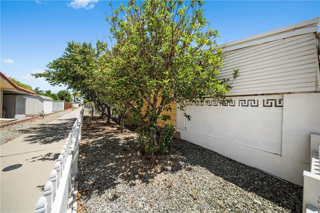 1081 San Gorgonio