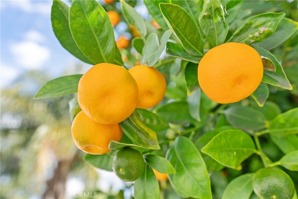 3902 Drysdale Avenue