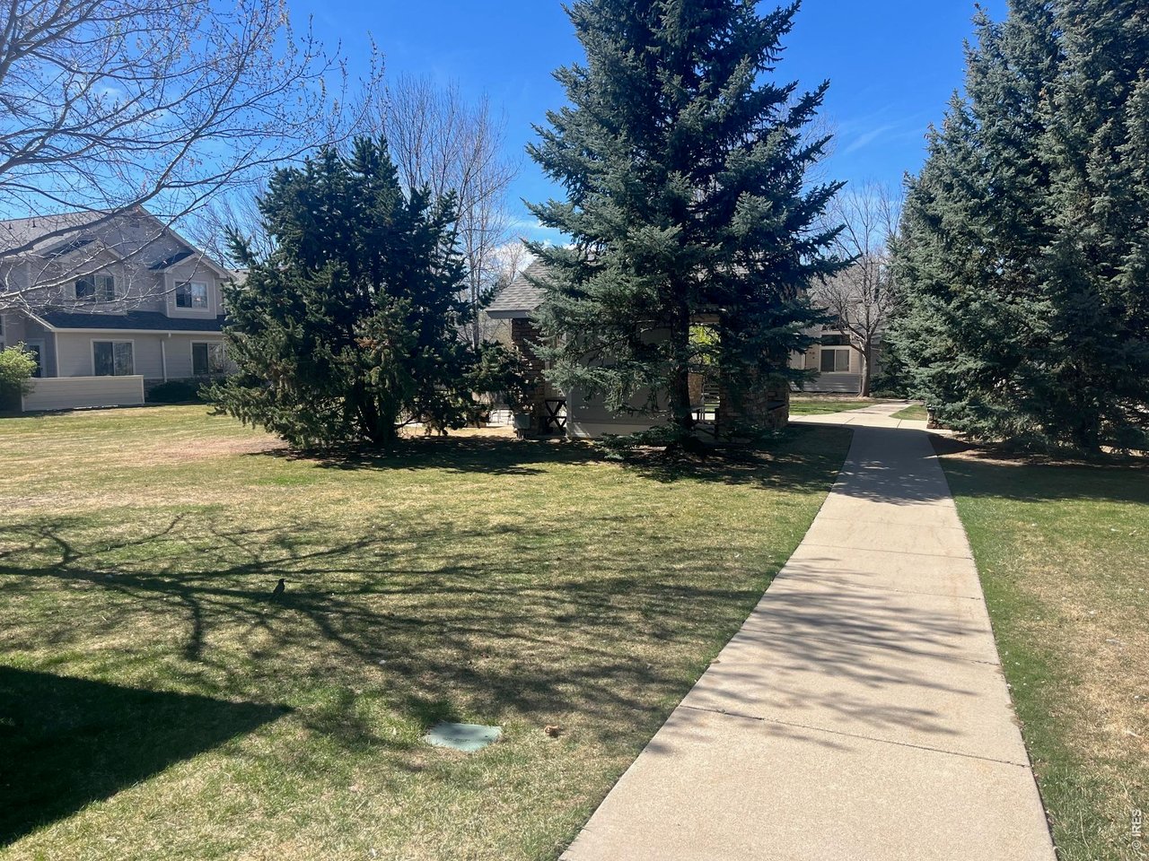 903 Hover Ridge Cir