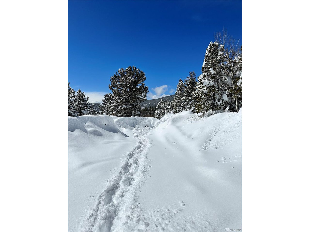 43391 Peak To Peak Hwy