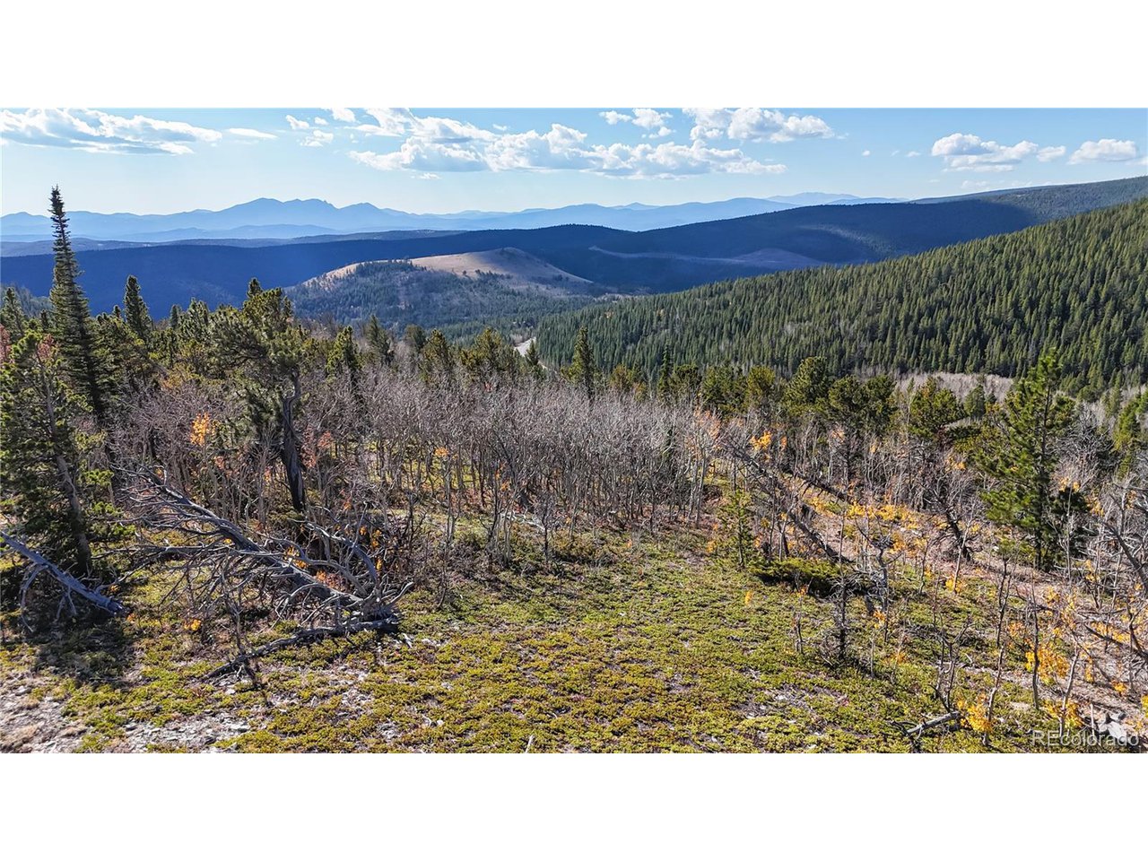 43391 Peak To Peak Hwy