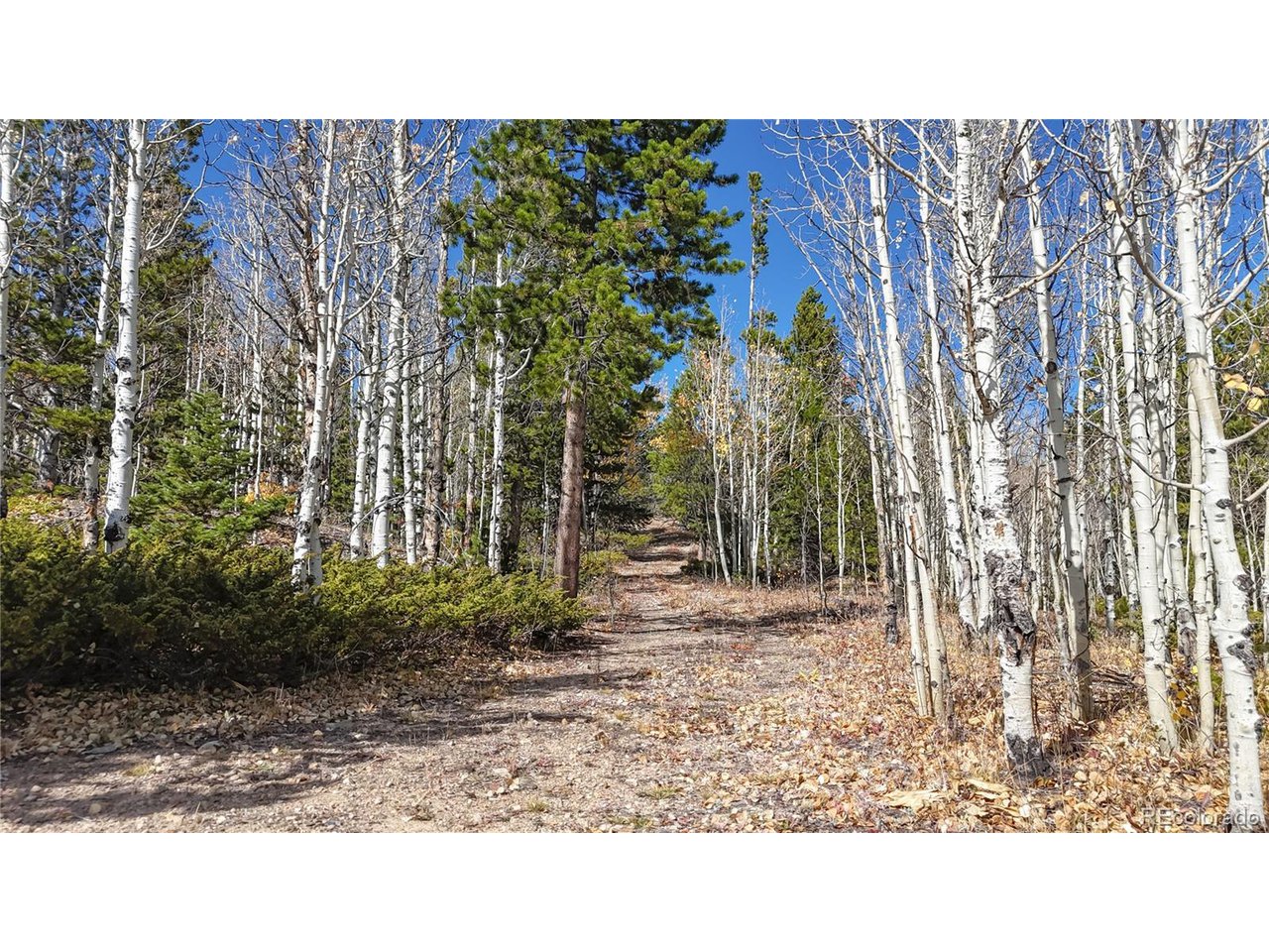 43391 Peak To Peak Hwy