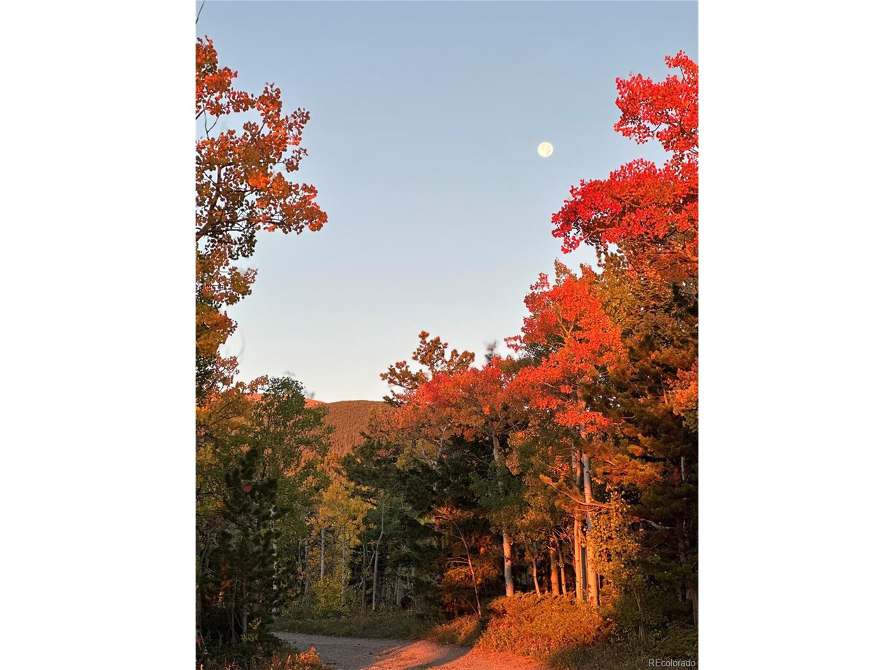 43391 Peak To Peak Hwy