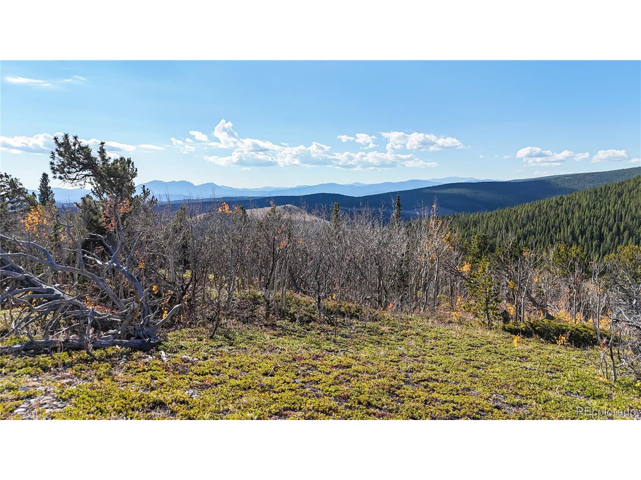 43391 Peak To Peak Hwy