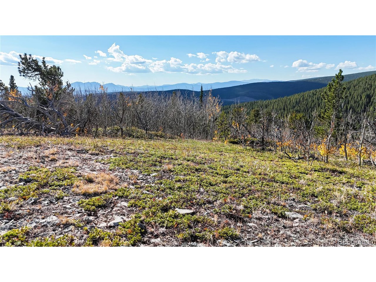 43391 Peak To Peak Hwy