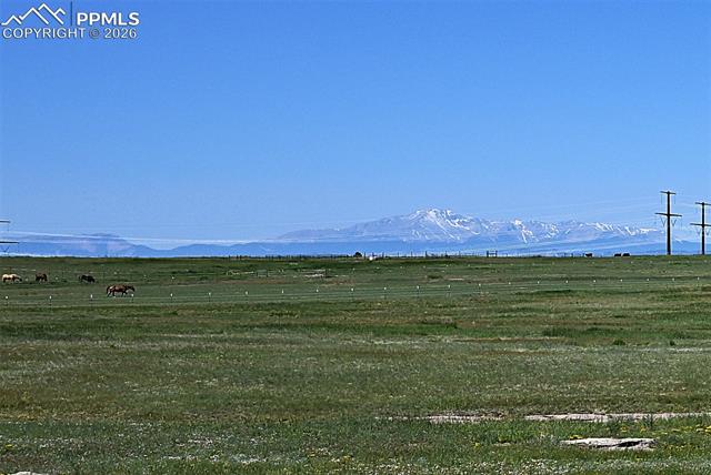 25995 Cave Spring Trail