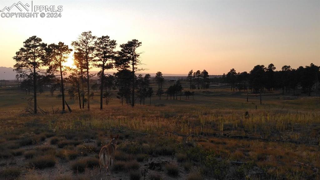 Lot 2 Forest Heights Circle