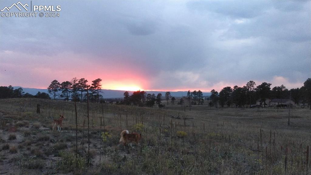 Lot 2 Forest Heights Circle