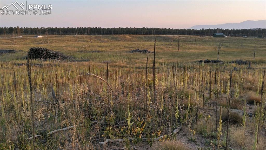 Lot 2 Forest Heights Circle