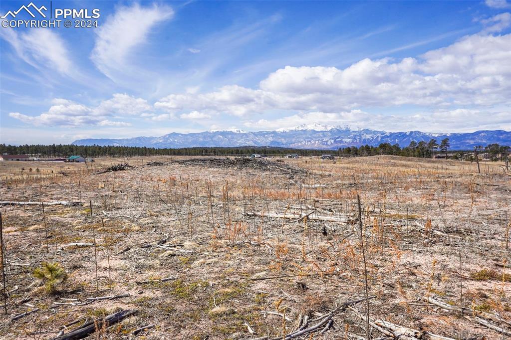 Lot 2 Forest Heights Circle