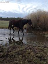 0 E Cherry Creek Road
