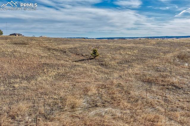 16670 Misfit Crew Heights