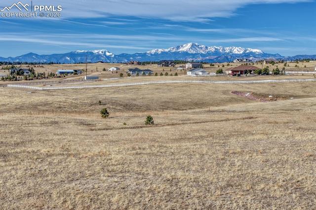 16670 Misfit Crew Heights