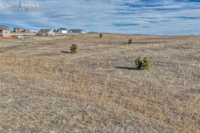 16670 Misfit Crew Heights