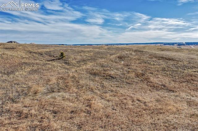 16670 Misfit Crew Heights