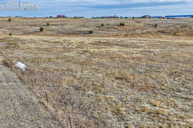 16550 Misfit Crew Heights