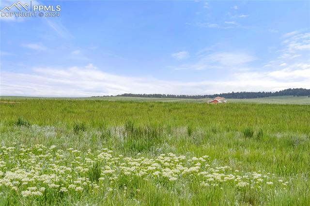 LOT 2 Brick Heights