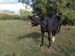 02 E Cherry Creek Road