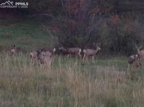 02 E Cherry Creek Road