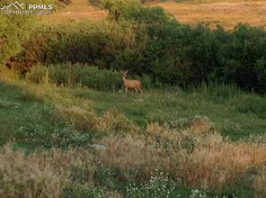 02 E Cherry Creek Road
