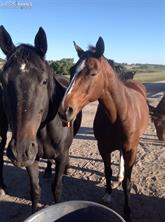 02 E Cherry Creek Road