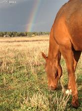 02 E Cherry Creek Road